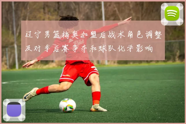 辽宁男篮梅奥加盟后战术角色调整及对季后赛争夺和球队化学影响