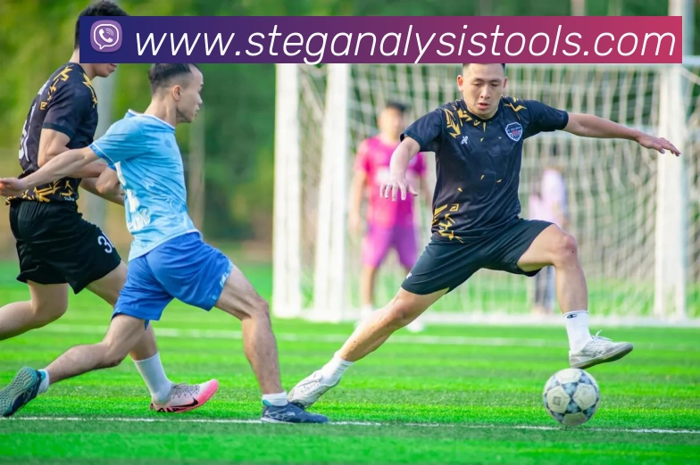 爱体育官方端网站登录入口 - 爱体育aitiyu(中国)平台生态图